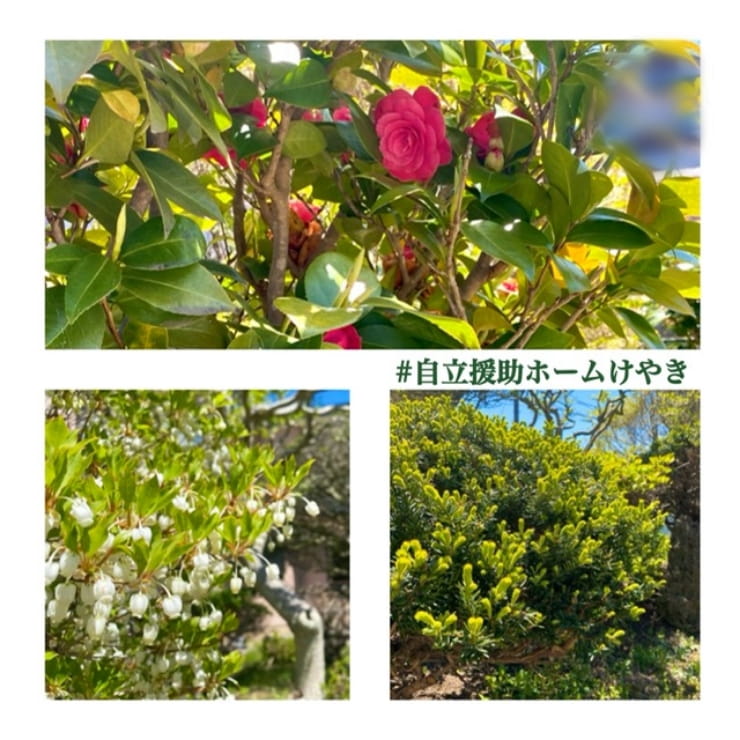 新緑の季節